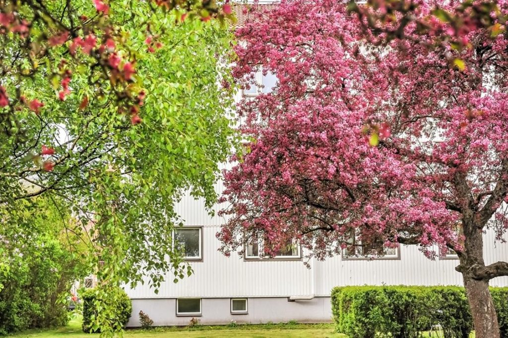 10. Stamspolning med Hogtrycksspolning till BRF Liljeholmen Arstadal