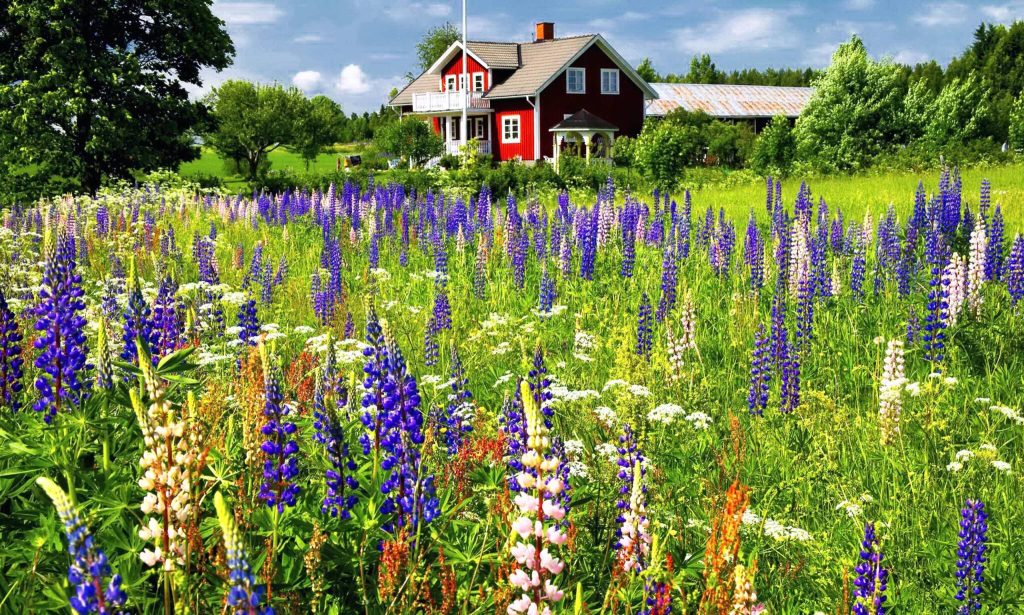 about us rormokare vallentuna stockholm 2048x1229